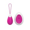 Remote Control Egg Vibrator